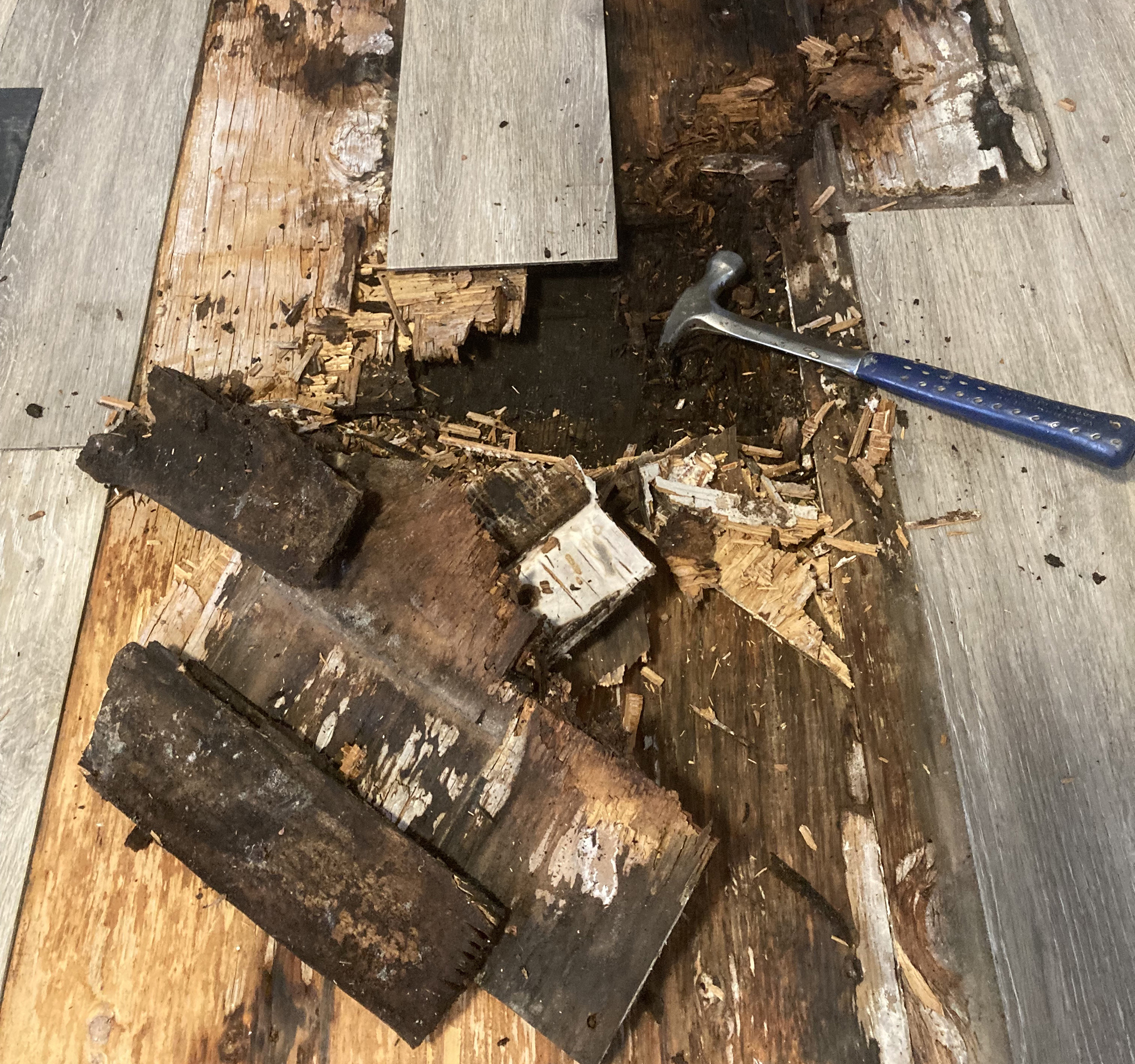 rotted floor in state of repair